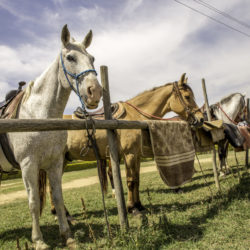 Cidade de Indaiatuba