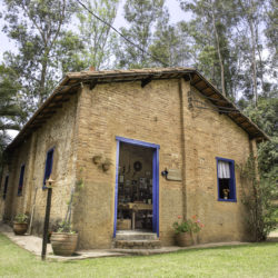 Vinhedo-Sitio-Frediani-250x250